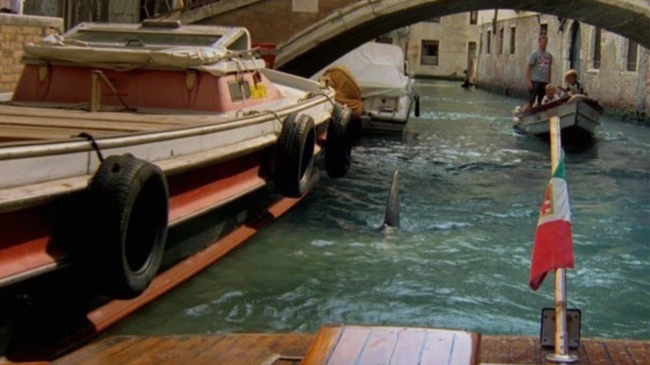 Sharks in Veniceの背景画像