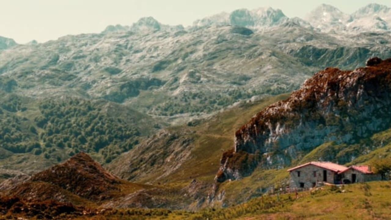 Salvajes, El Cuento Del Loboの背景画像