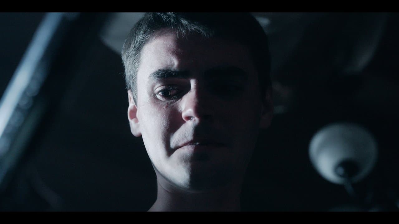 Immunityの背景画像