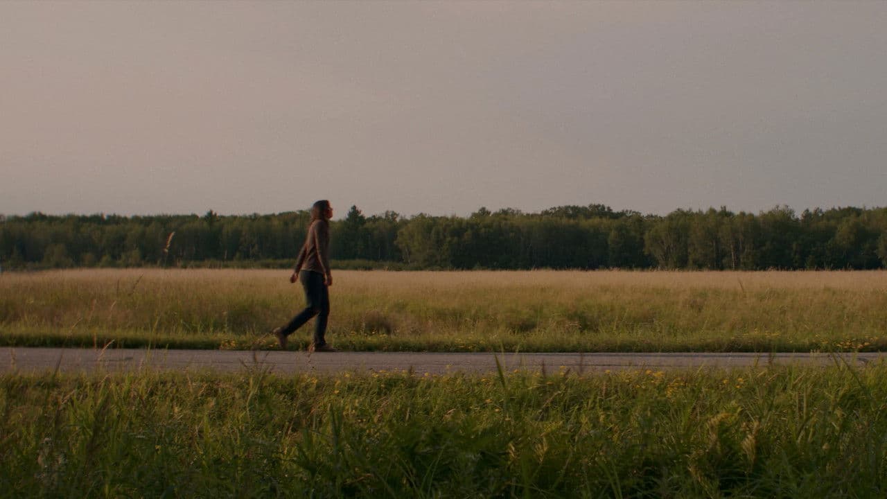 Blossom Needs A Ride Homeの背景画像