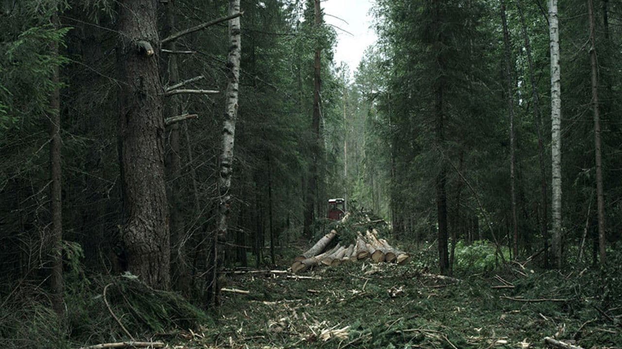 Лесの背景画像