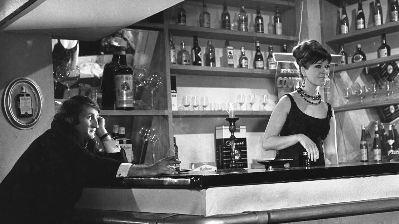 Bigbeatová svatbaの背景画像