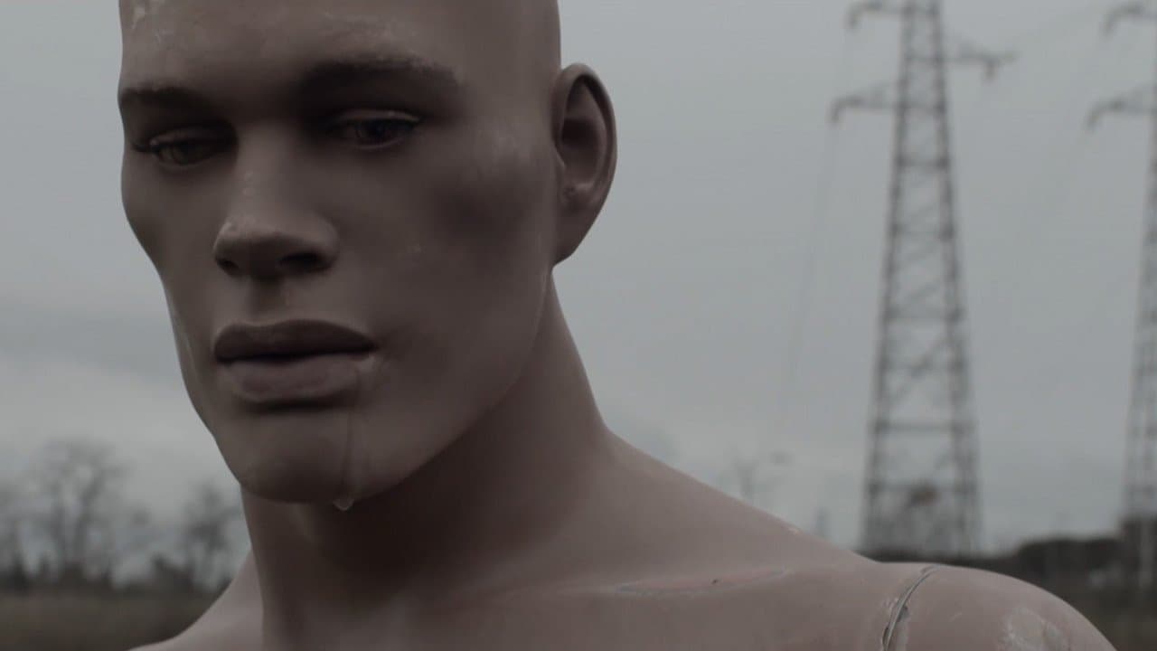 Il manichinoの背景画像