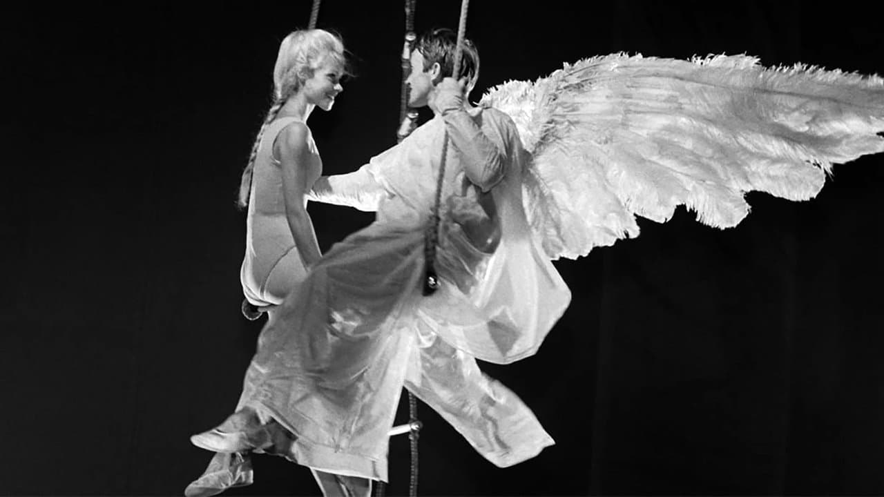 Fifi la plumeの背景画像