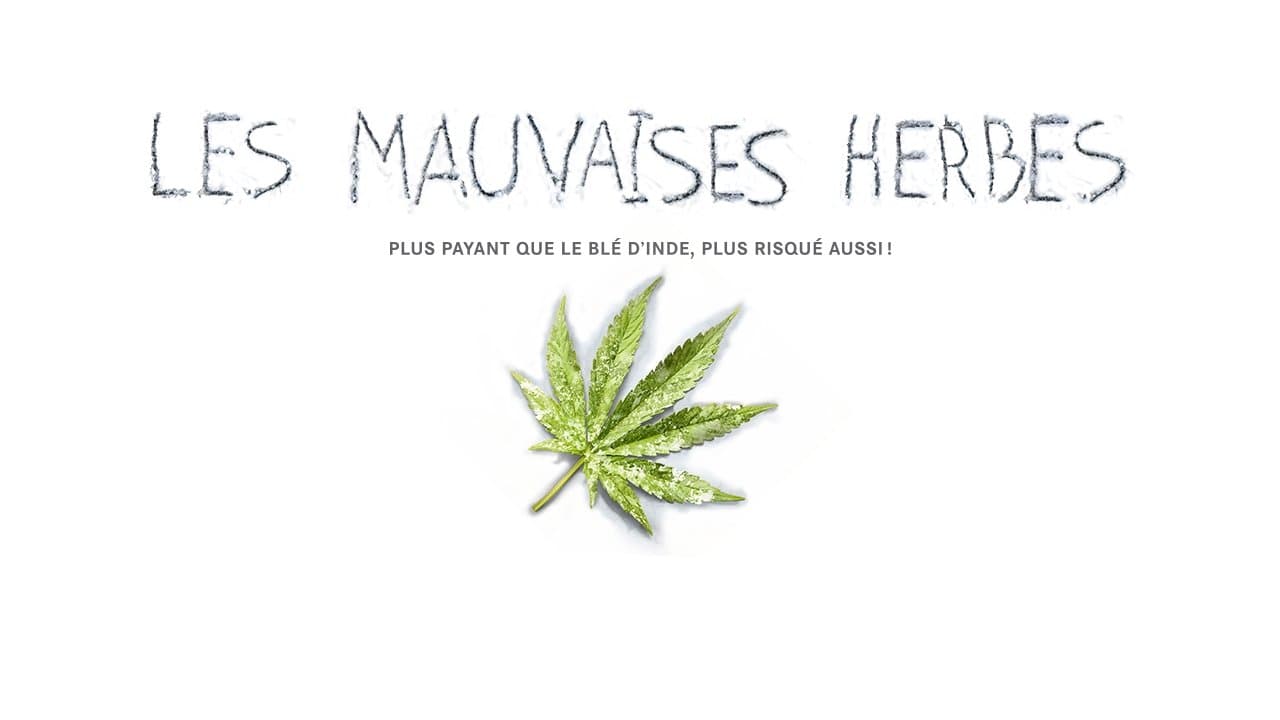 Les mauvaises herbesの背景画像
