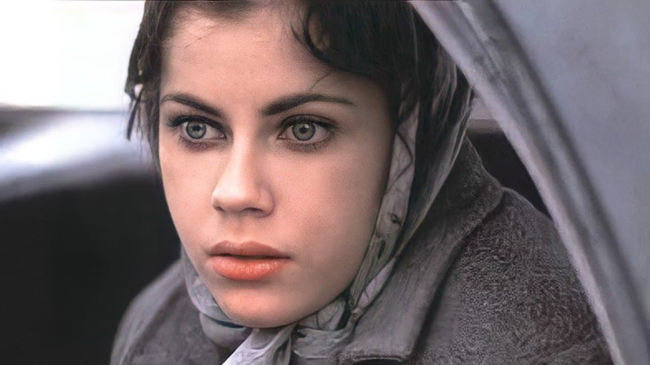 Murder in the Heartlandの背景画像