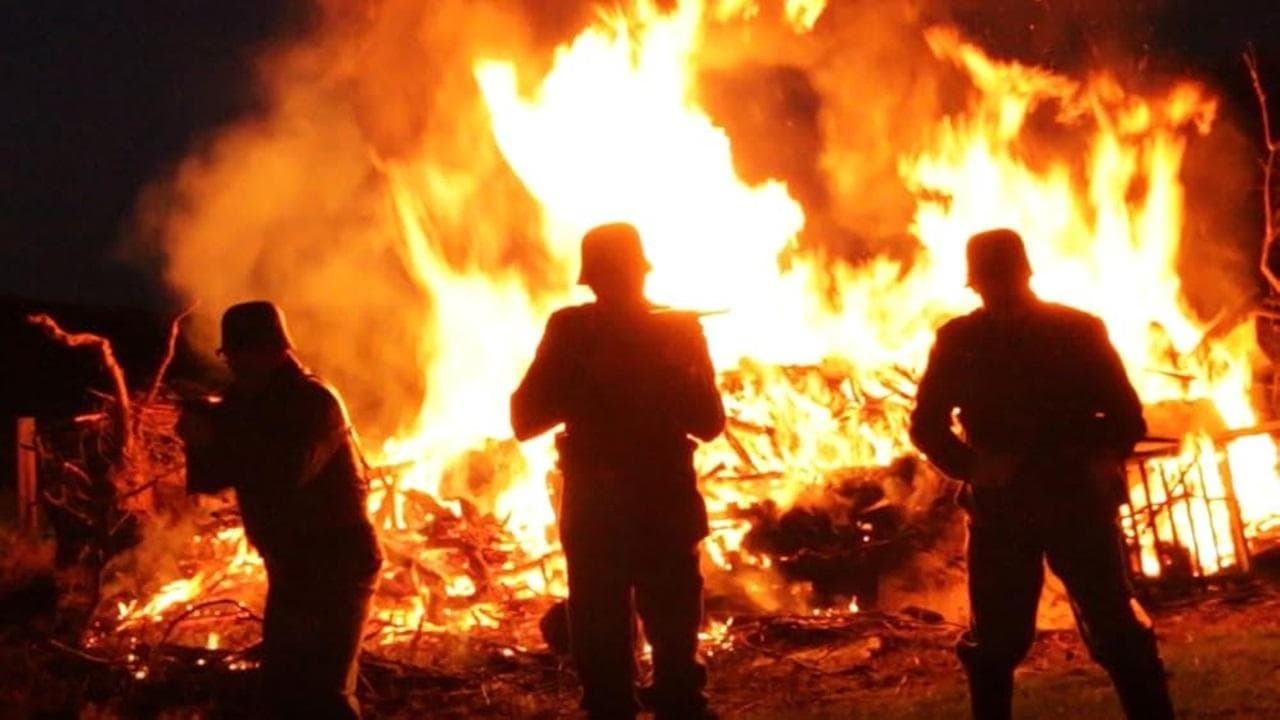 Talons of the Phoenixの背景画像