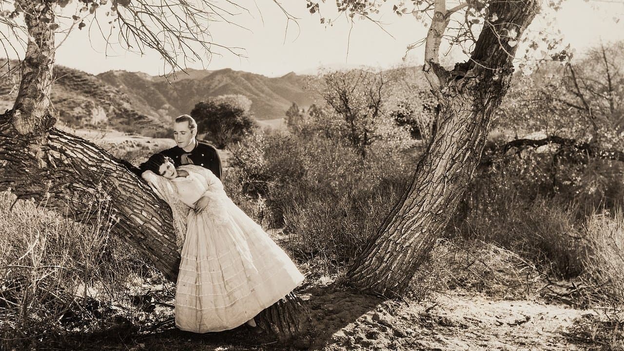 The Desert Riderの背景画像