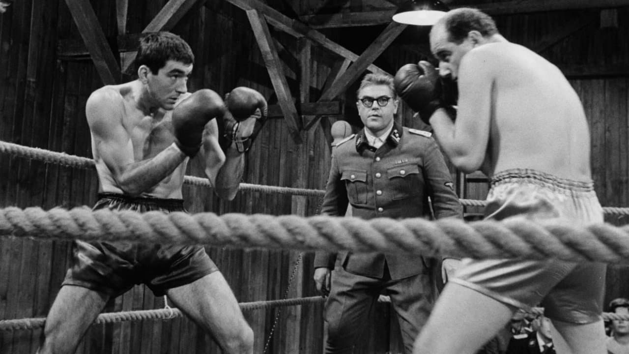 Boxer a smrťの背景画像