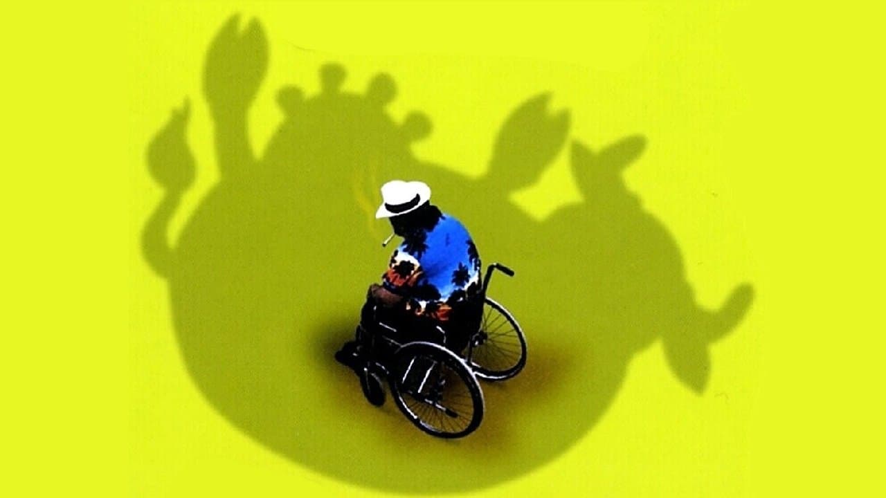 Piovono muccheの背景画像