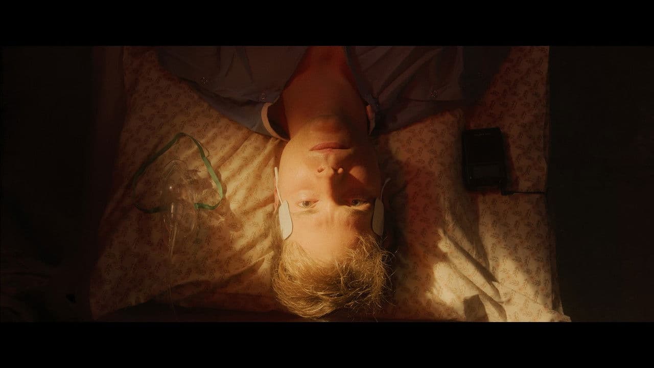 Launch at Paradiseの背景画像