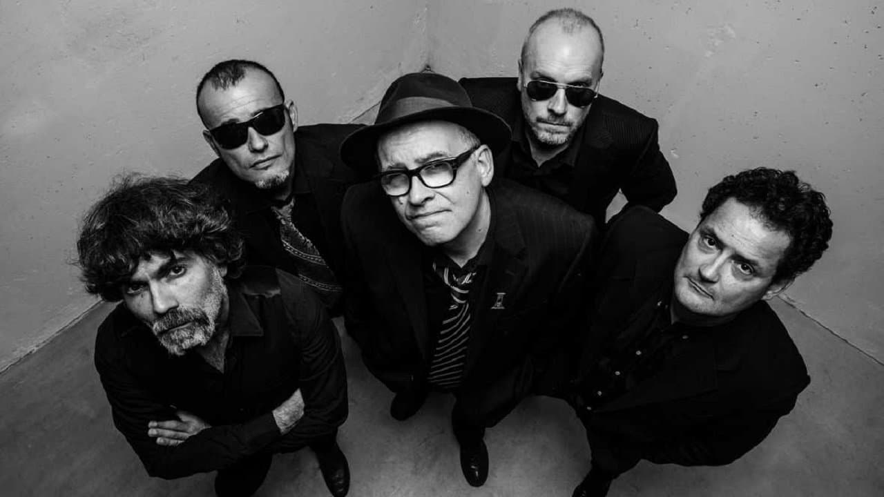 Siniestro Total: Que parezca un accidenteの背景画像