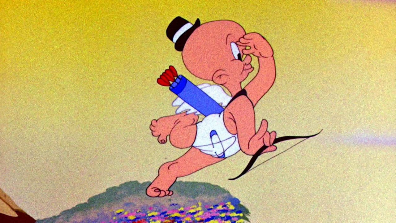 The Stupid Cupidの背景画像