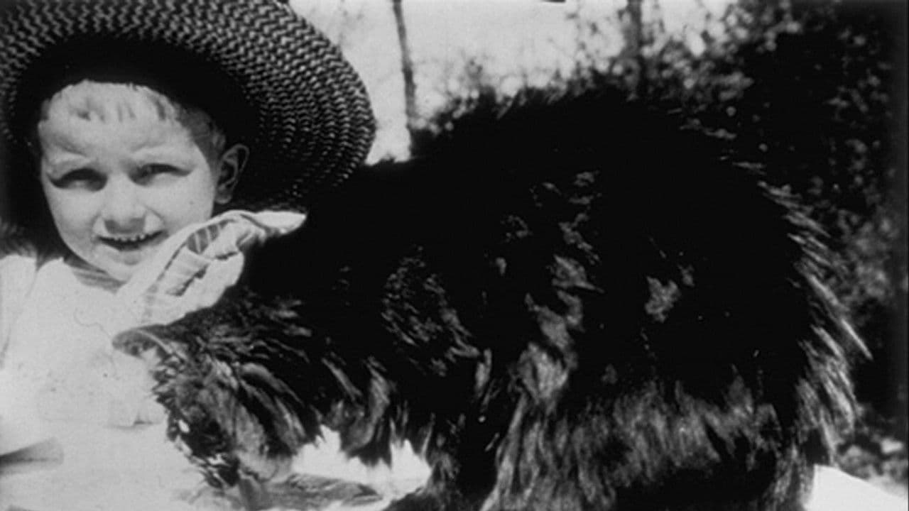 Déjeuner du Chatの背景画像