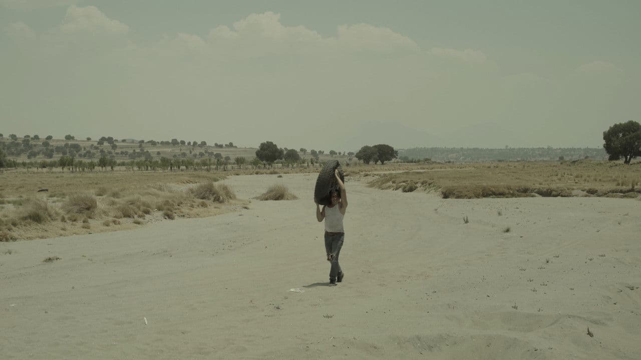 Superficiesの背景画像