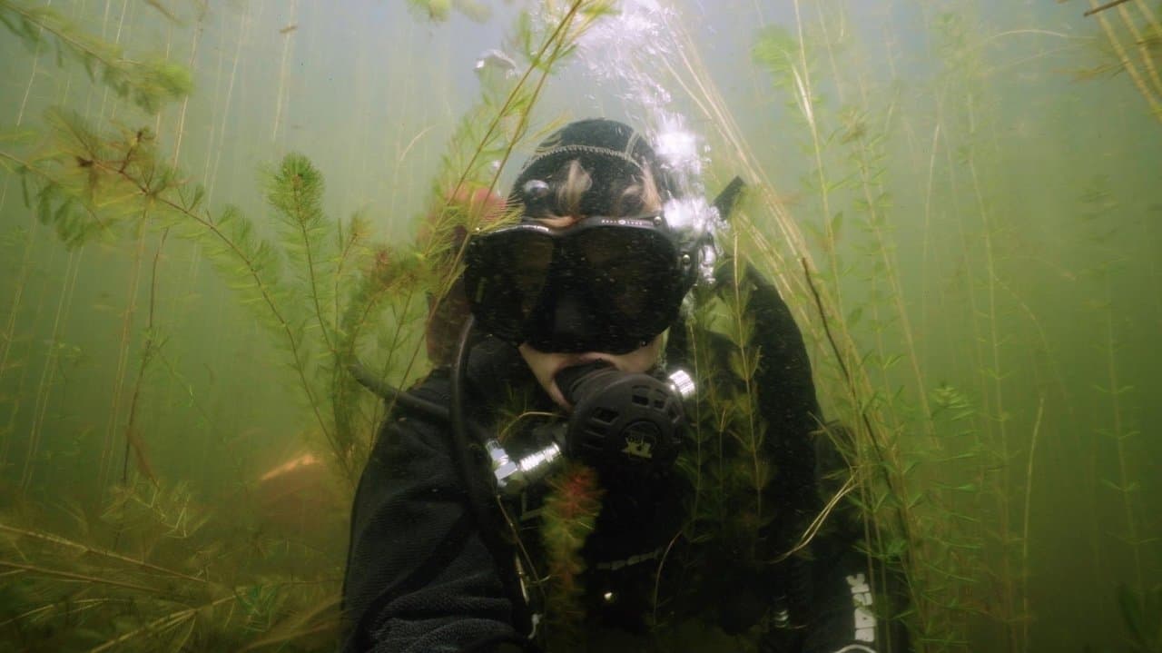 La goutte de tropの背景画像
