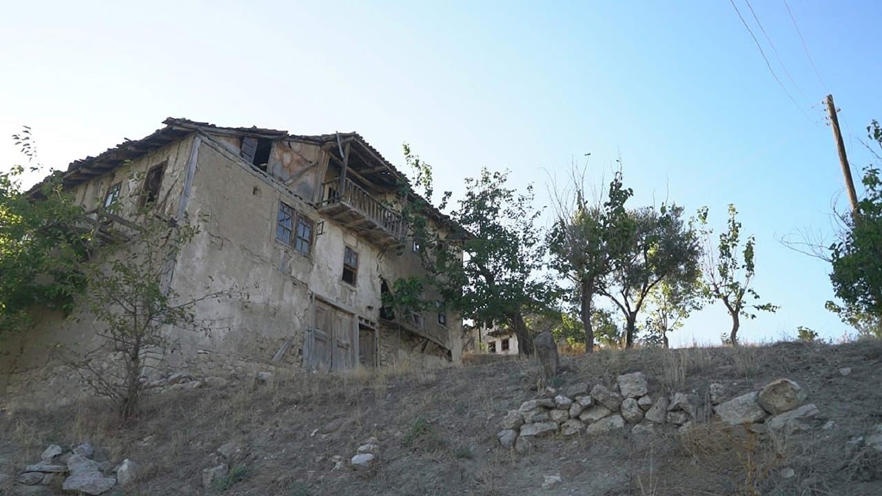 Cin Tepesiの背景画像