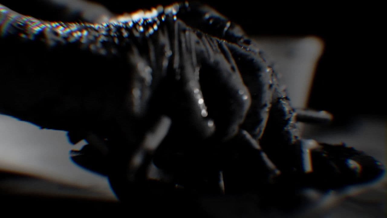 Homenagem a Joe Camelの背景画像