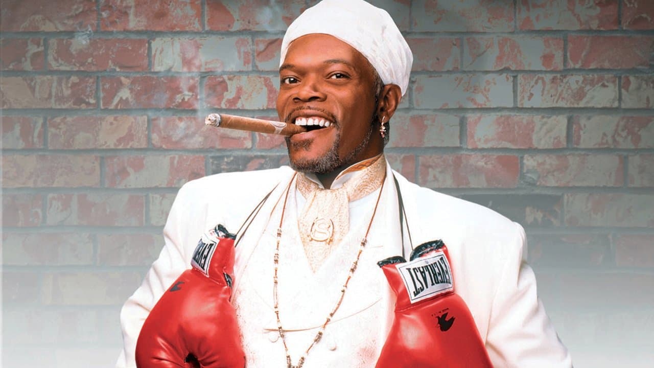 The Great White Hypeの背景画像