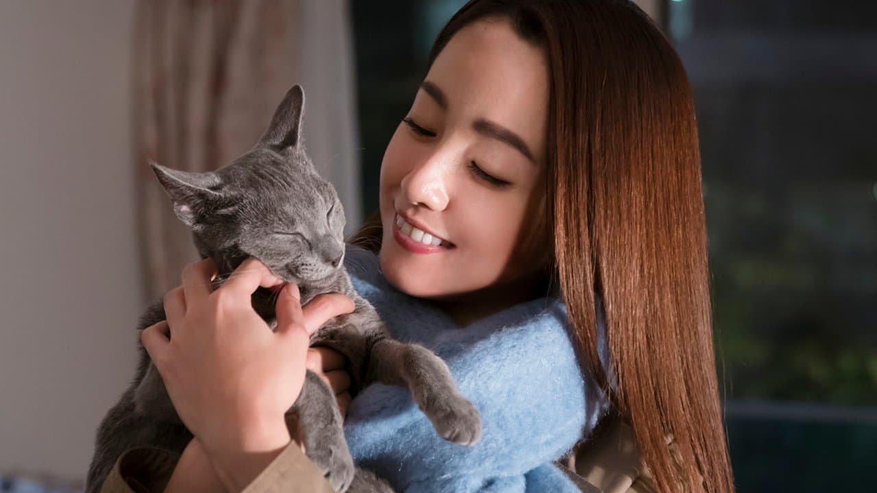 猫は抱くものの背景画像