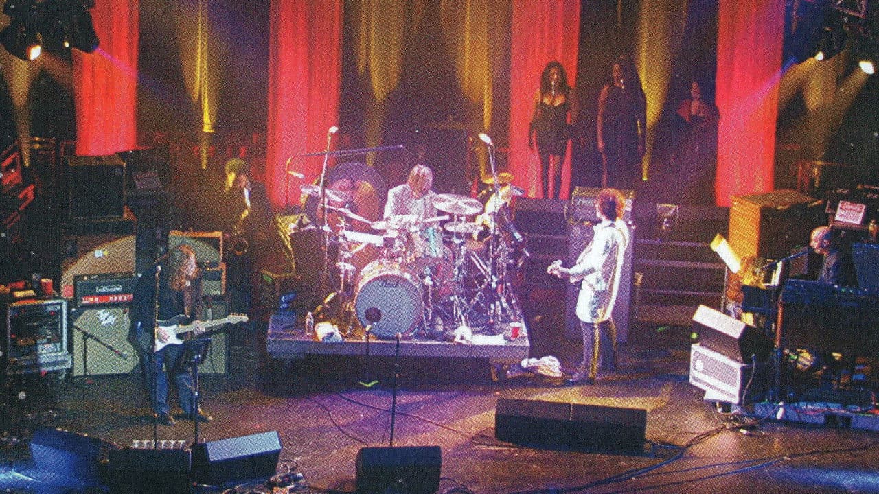 Gov't Mule - Dark Side of the Muleの背景画像