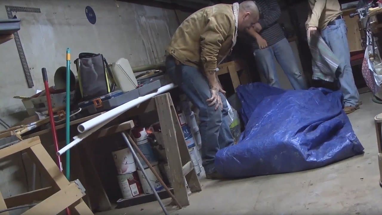 Wolf Houseの背景画像