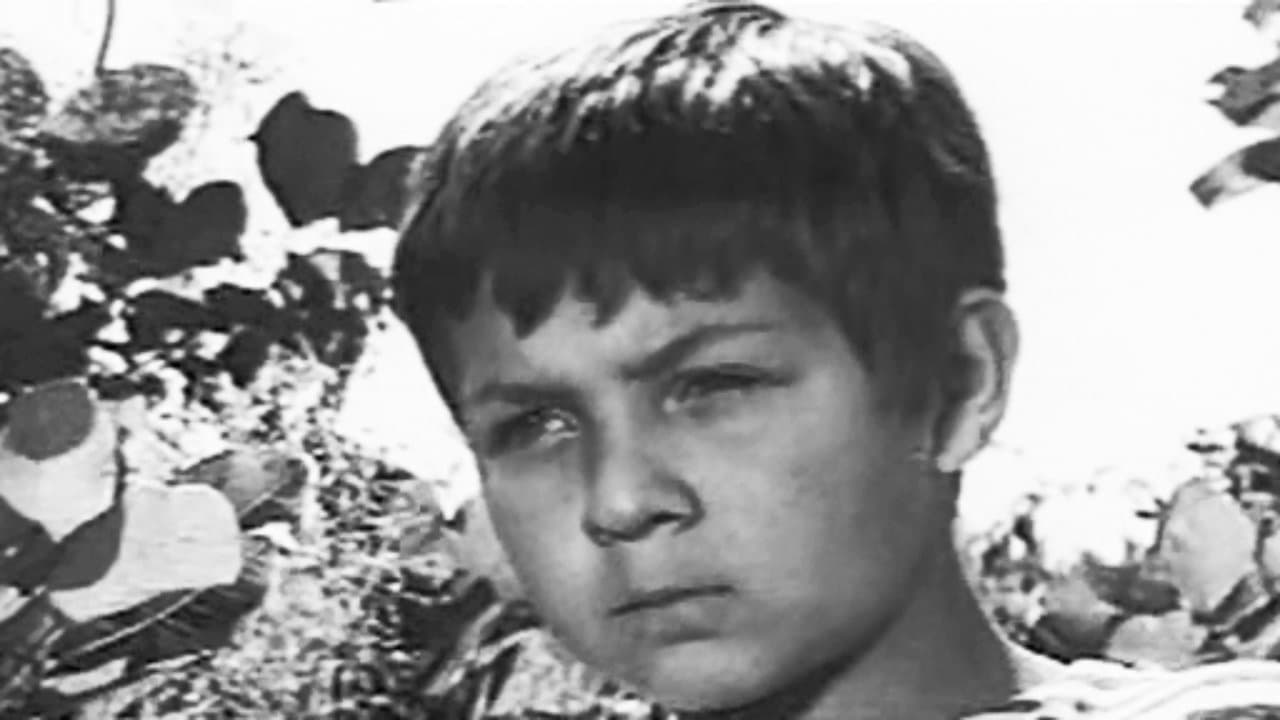 Nume salvatの背景画像