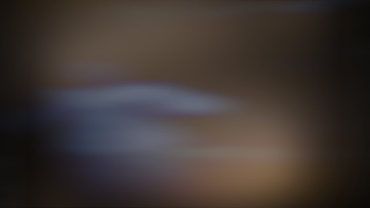 Girassol sem Solの背景画像