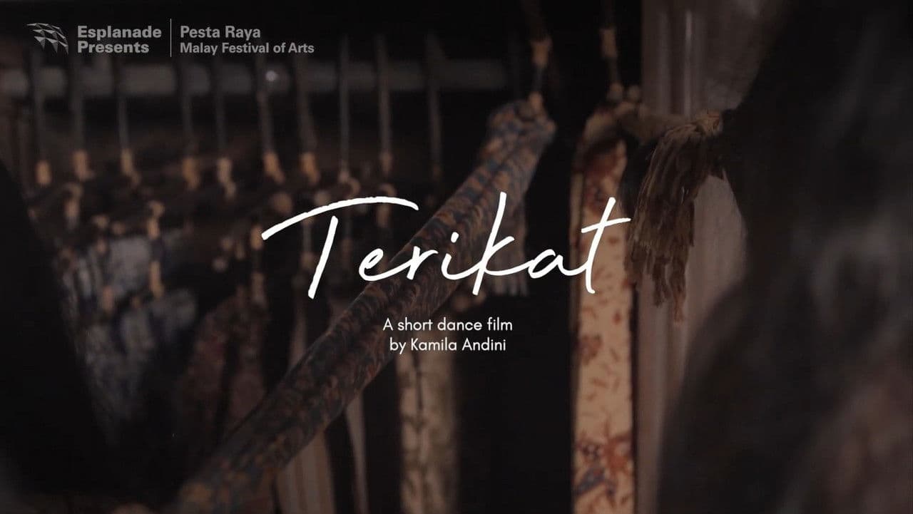 Terikatの背景画像