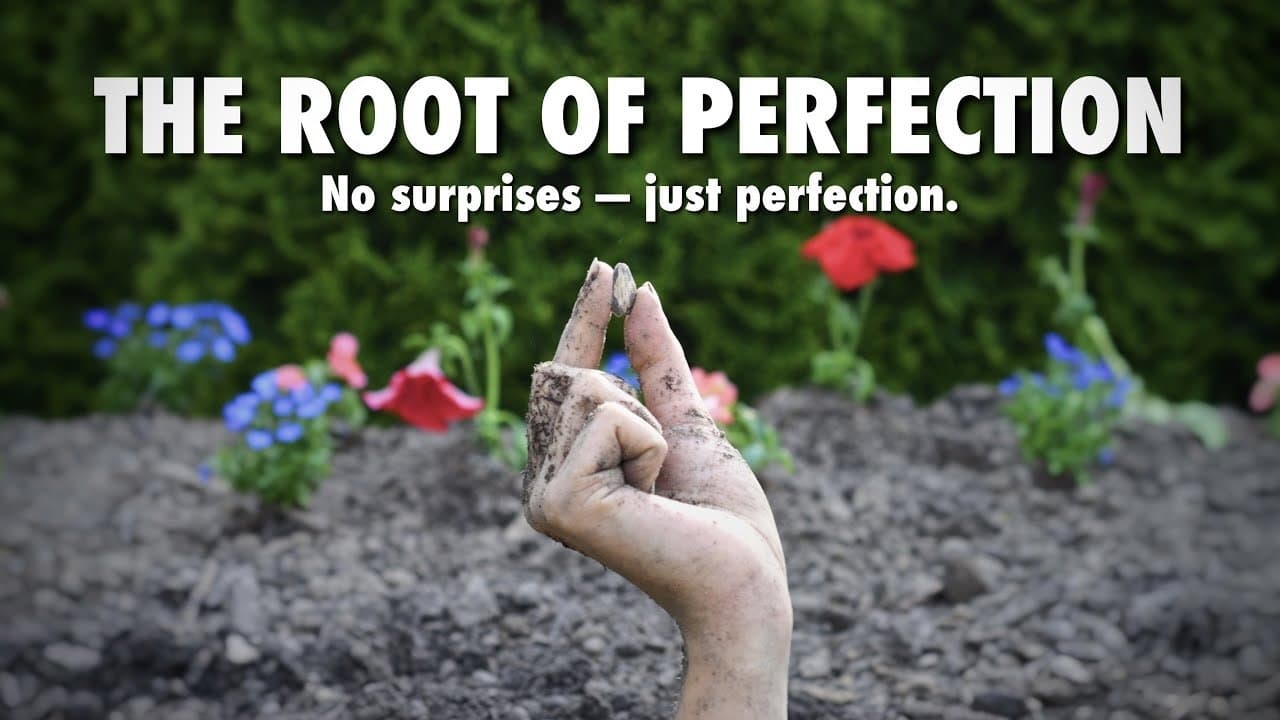 The Root of Perfectionの背景画像