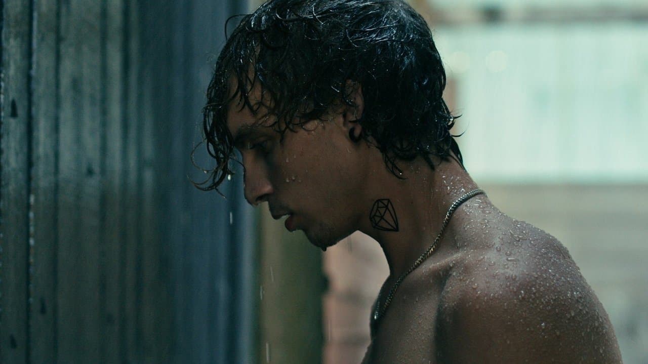 Searching for the Elephantの背景画像