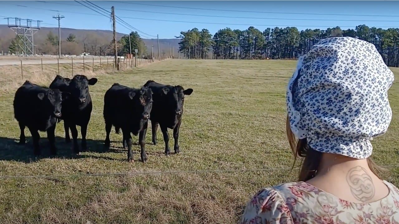 Little Bo Creepの背景画像