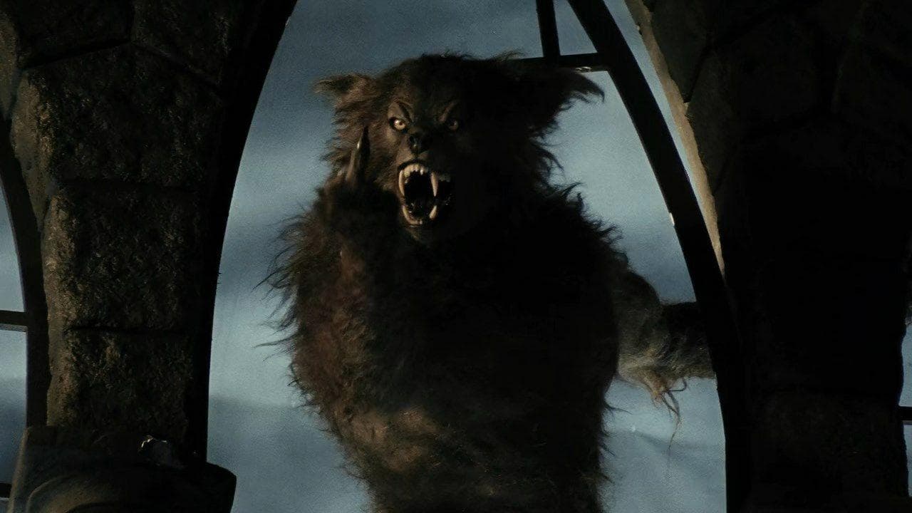 American Werewolvesの背景画像