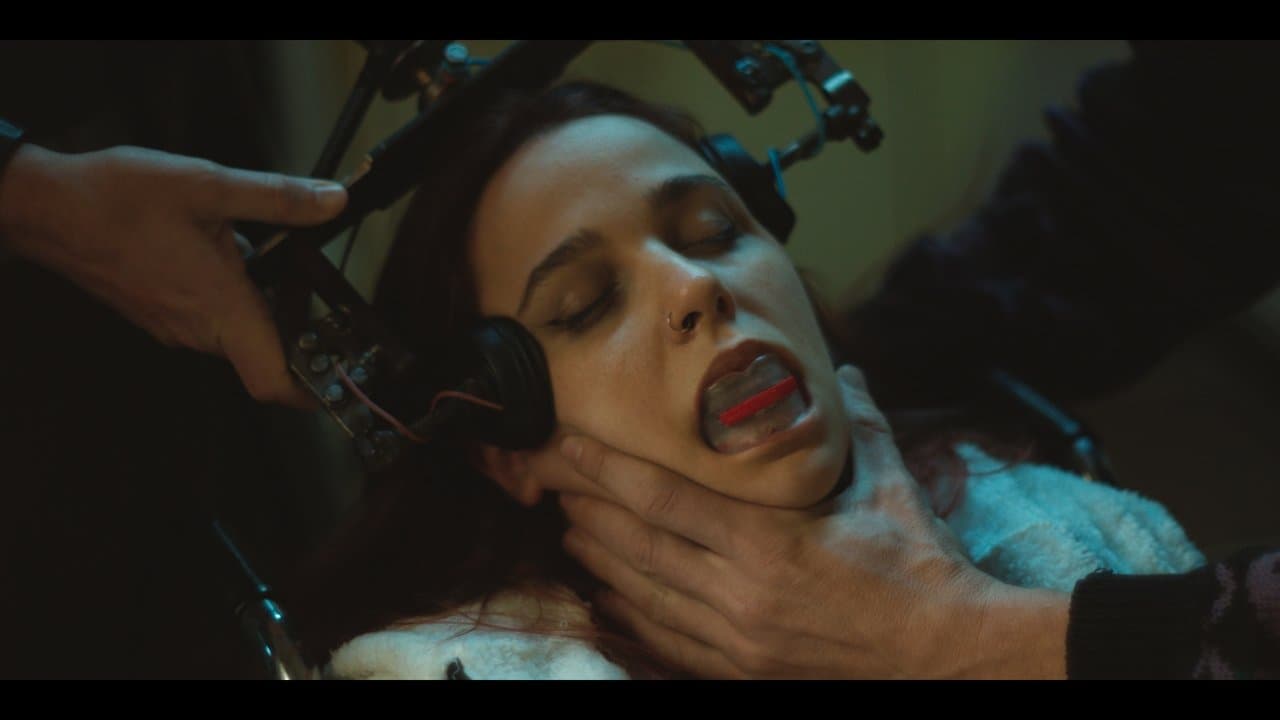 Los Bobosの背景画像