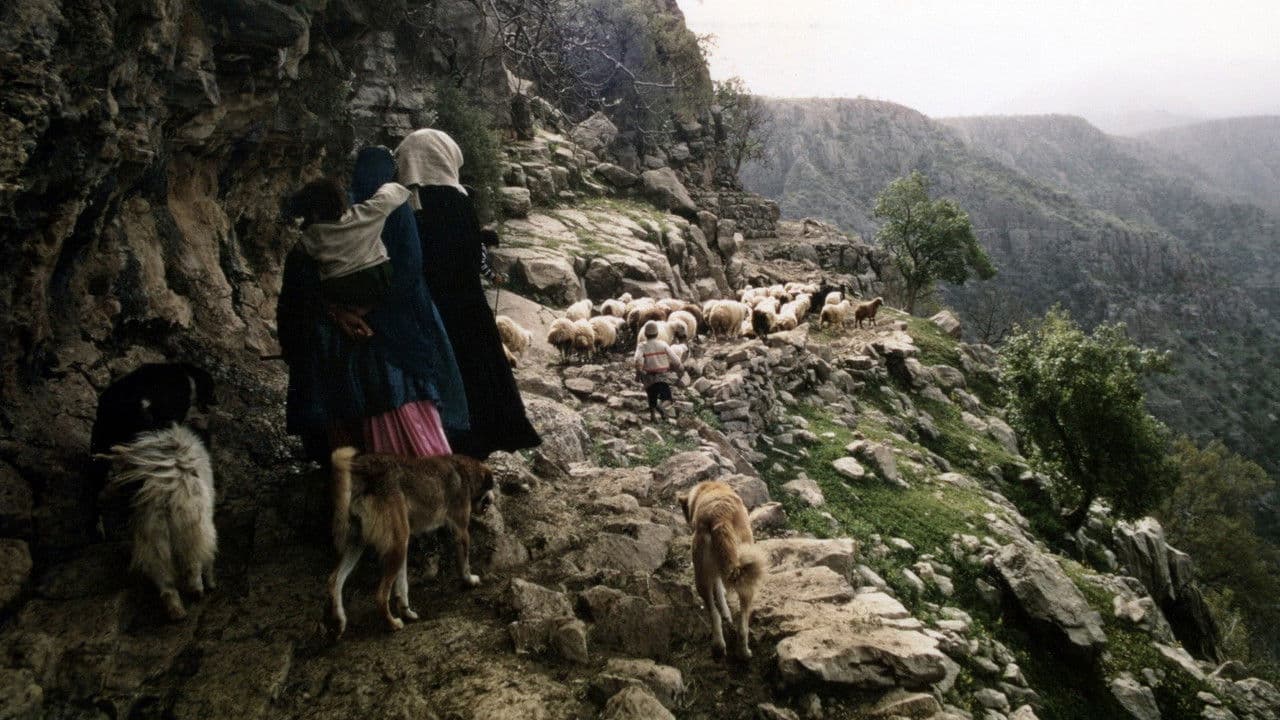 People of the Windの背景画像