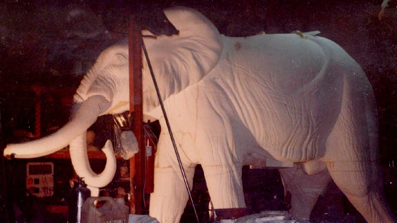 El elefante del reyの背景画像
