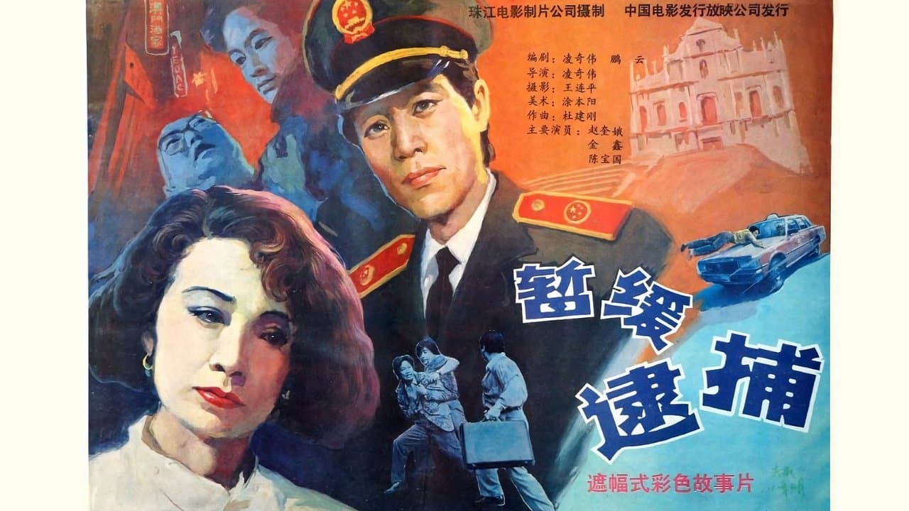暂缓逮捕の背景画像