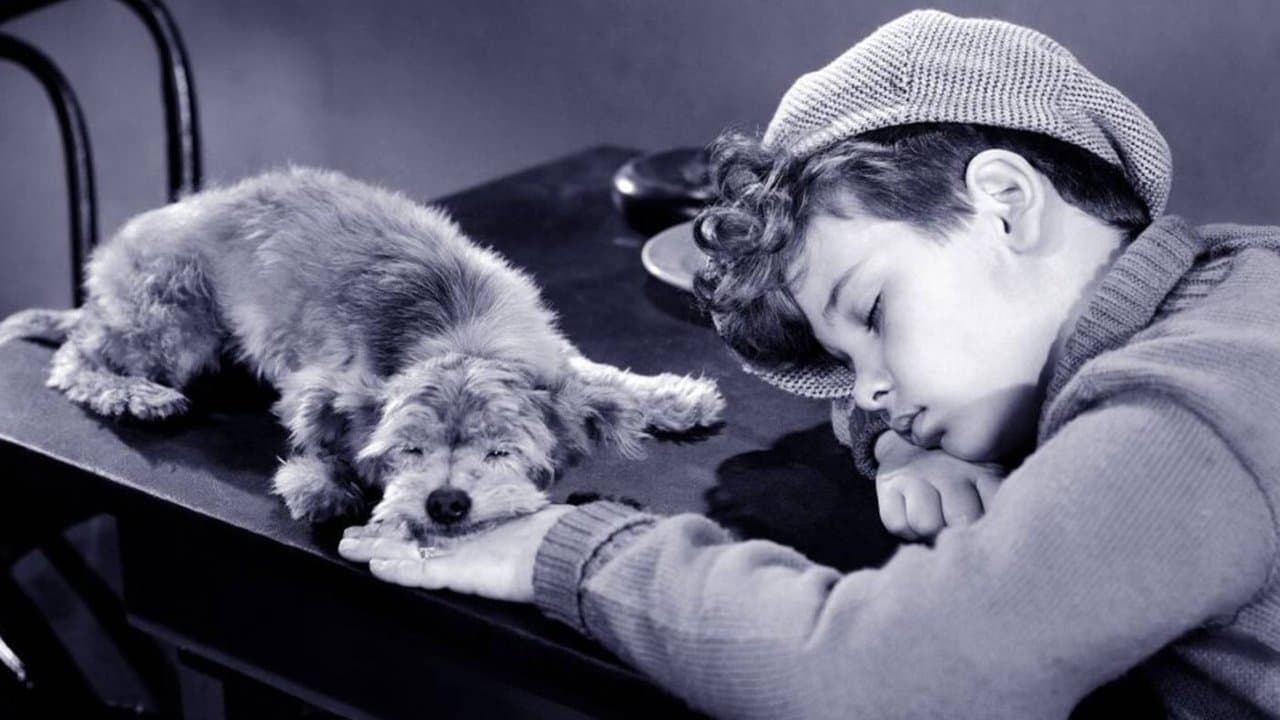 The Mighty McGurkの背景画像