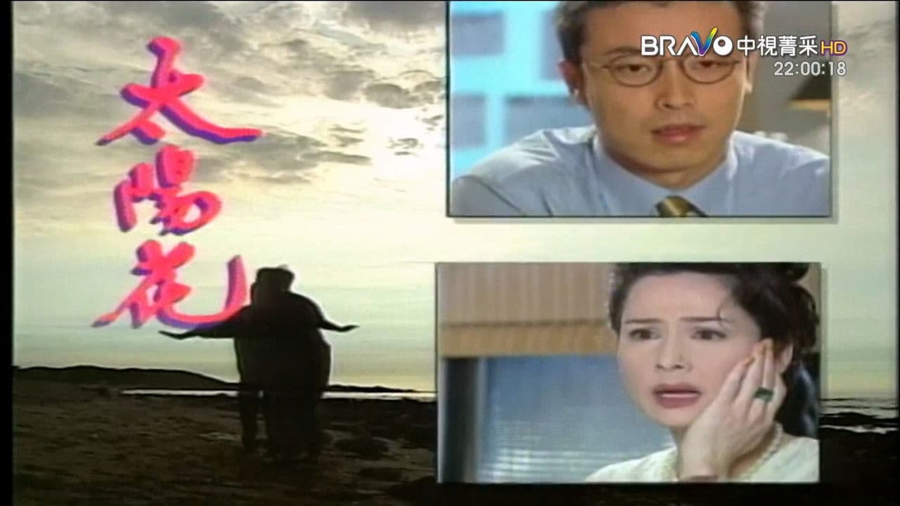 太阳花の背景画像