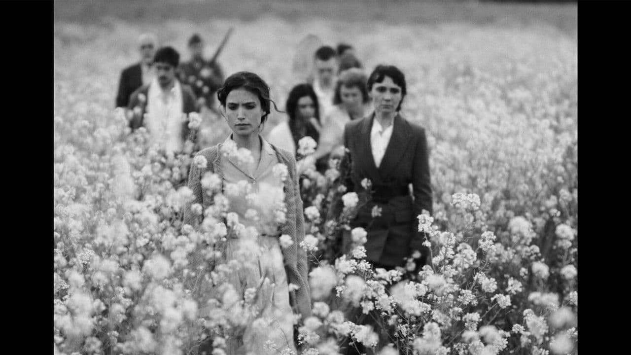 Semillasの背景画像