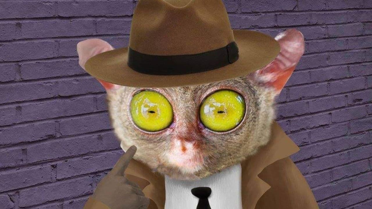 Lorenzo Delgado, Investigador Privadoの背景画像