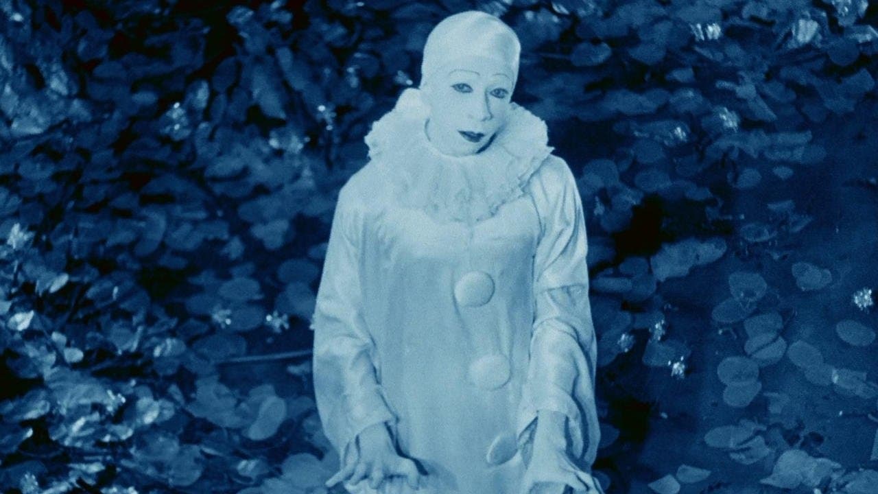 Rabbit's Moonの背景画像