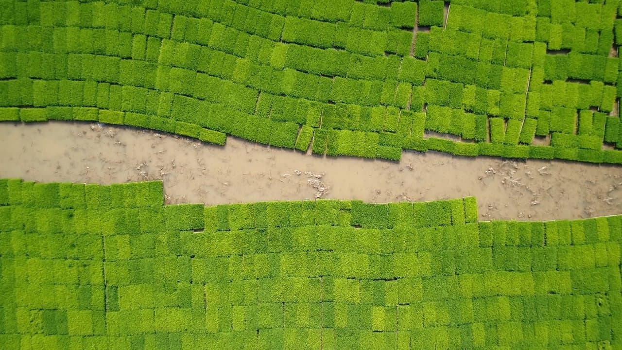 물의 기억の背景画像