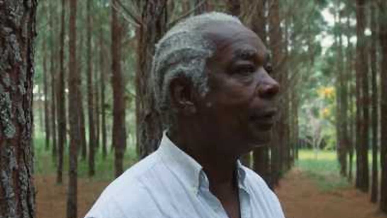 Aleluia, o Canto Infinito do Tincoãの背景画像