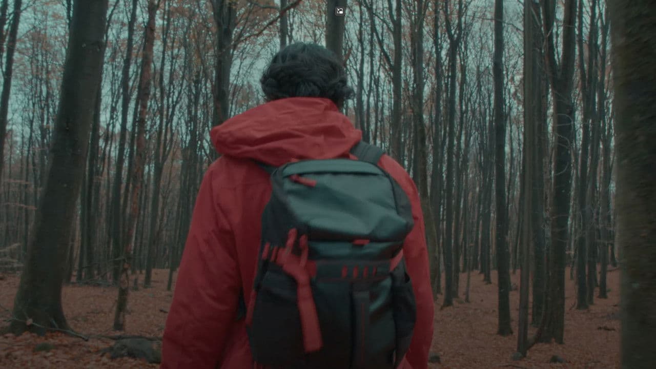 Delusionsの背景画像