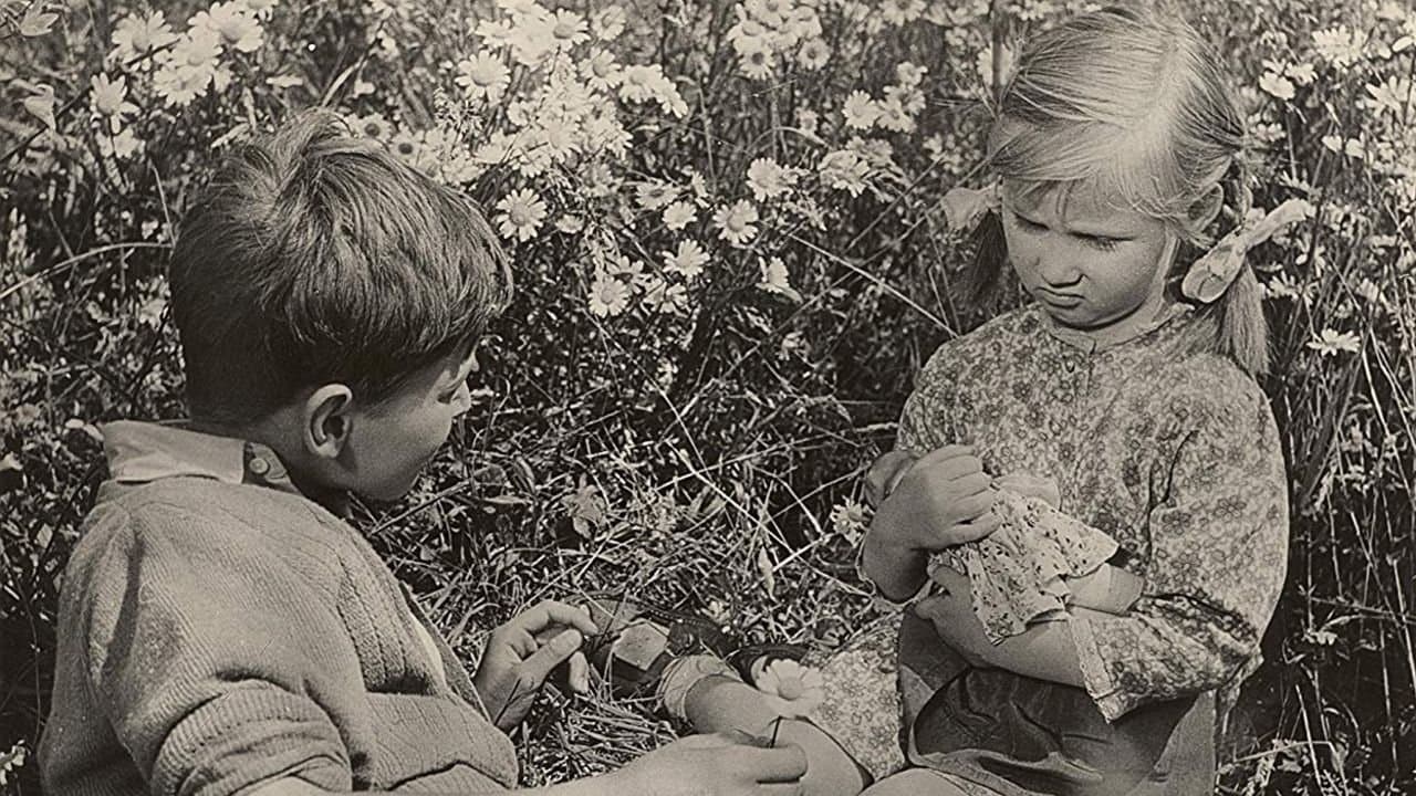 Dolina miruの背景画像