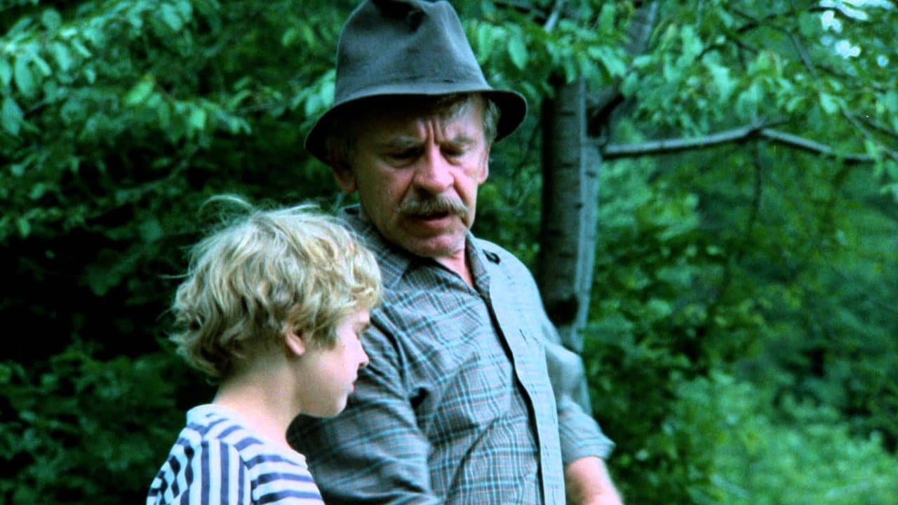 Kosenie Jastrabej lúkyの背景画像