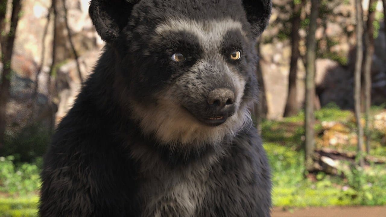 Milagros: Una osa extraordinariaの背景画像