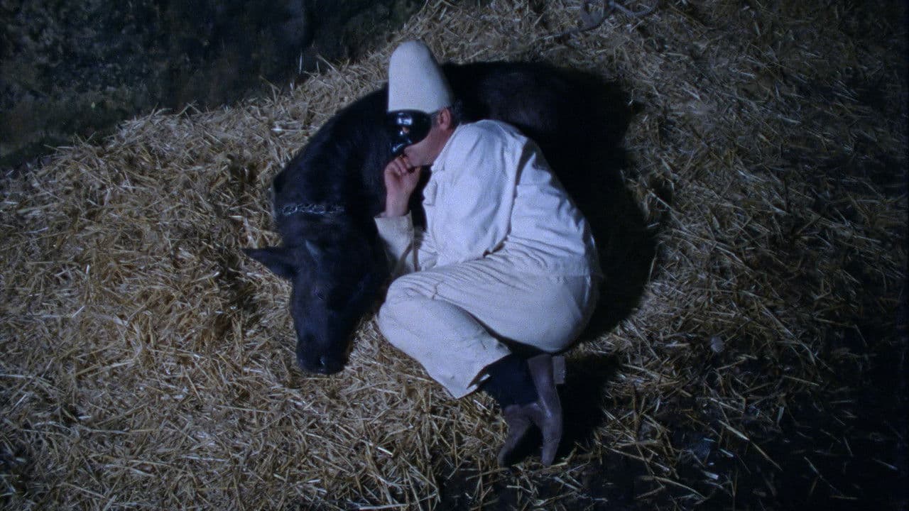 Bella e perdutaの背景画像