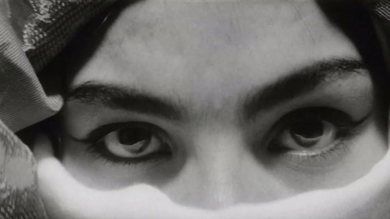 Laika tiltiの背景画像